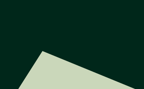 Dark green surface with light green triangle used as fallback image